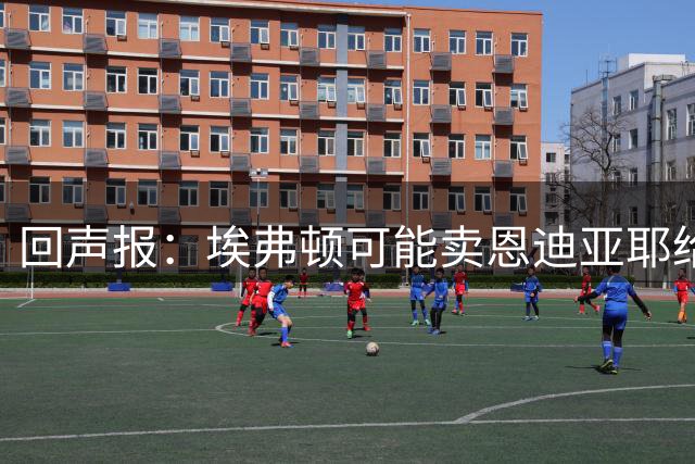 回声报：埃弗顿可能卖恩迪亚耶给热刺，并签回格拉利什弥补影响